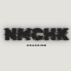 NmChk